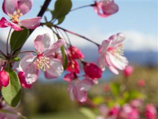 Tin Tub Luxury Lodge Wanaka Zewnętrze zdjęcie